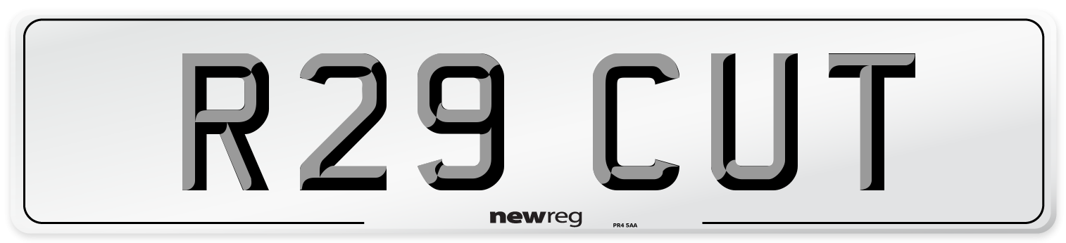 R29 CUT Number Plate from New Reg